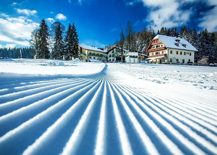 Annelies 4* Ramsau am Dachstein